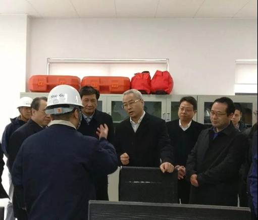 浙江省邵阳市市长吴晓东前往浙江yl23411永利能源开发有限公司调查调研